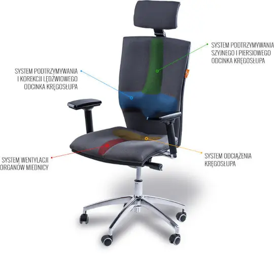 fotel rehabilitacyjny Elegance schemat dzialania